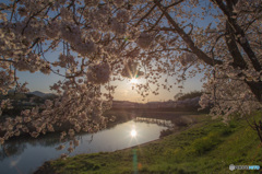 篠山川