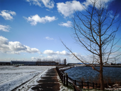 冬の散歩道