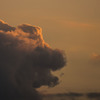 ライオン雲