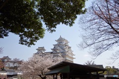 それぞれとしろ