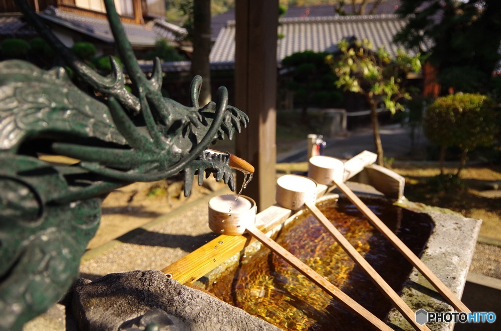 したたる