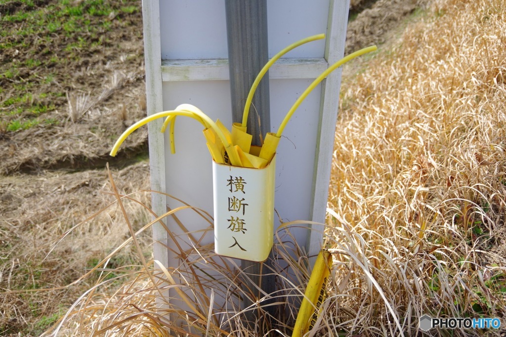 渡れ