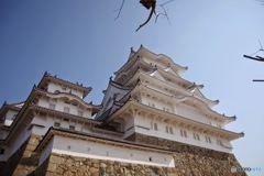 癖