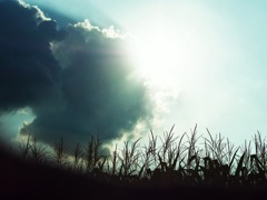 空