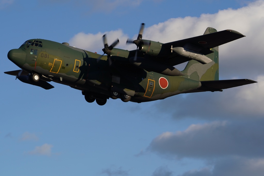 名古屋空港（小牧基地）　C-130H