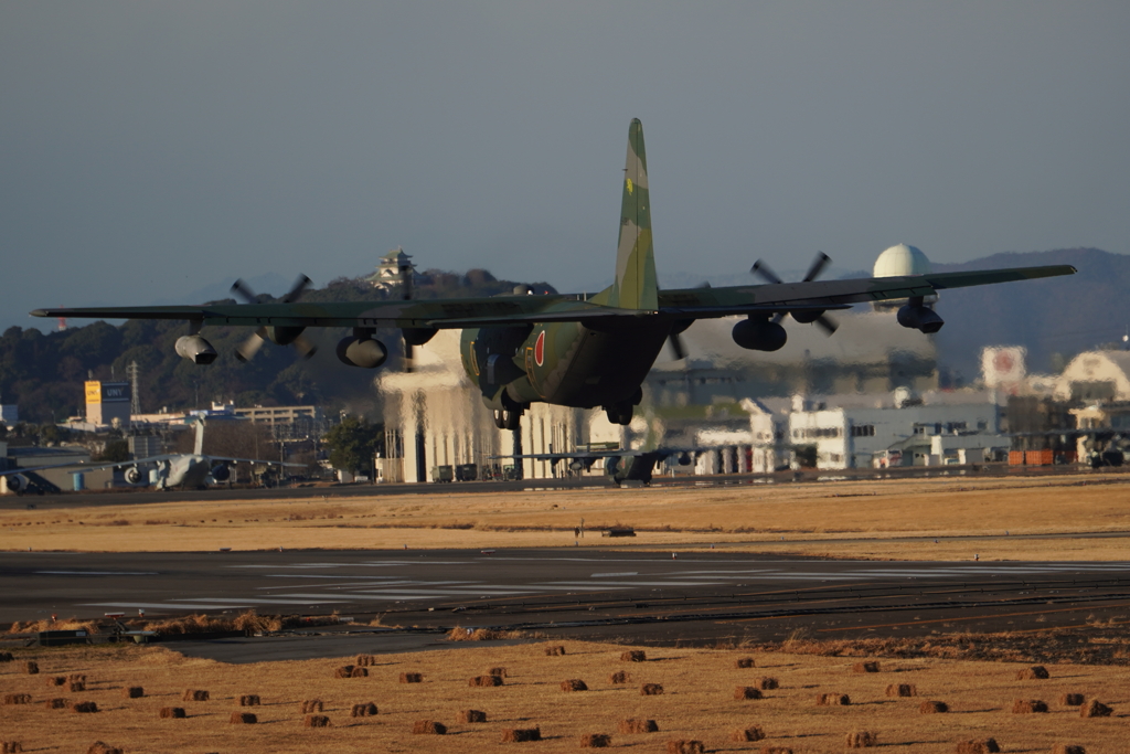 名古屋空港（小牧基地）　C-130H