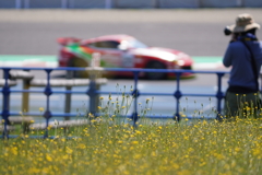 2025Ｓ耐鈴鹿　朝開く花