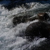 郡上散策　川の流れ