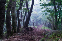 登山道