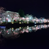 夜桜