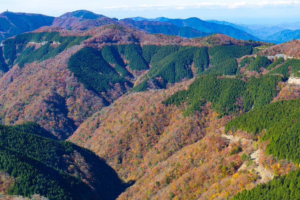 護摩壇山からの紅葉