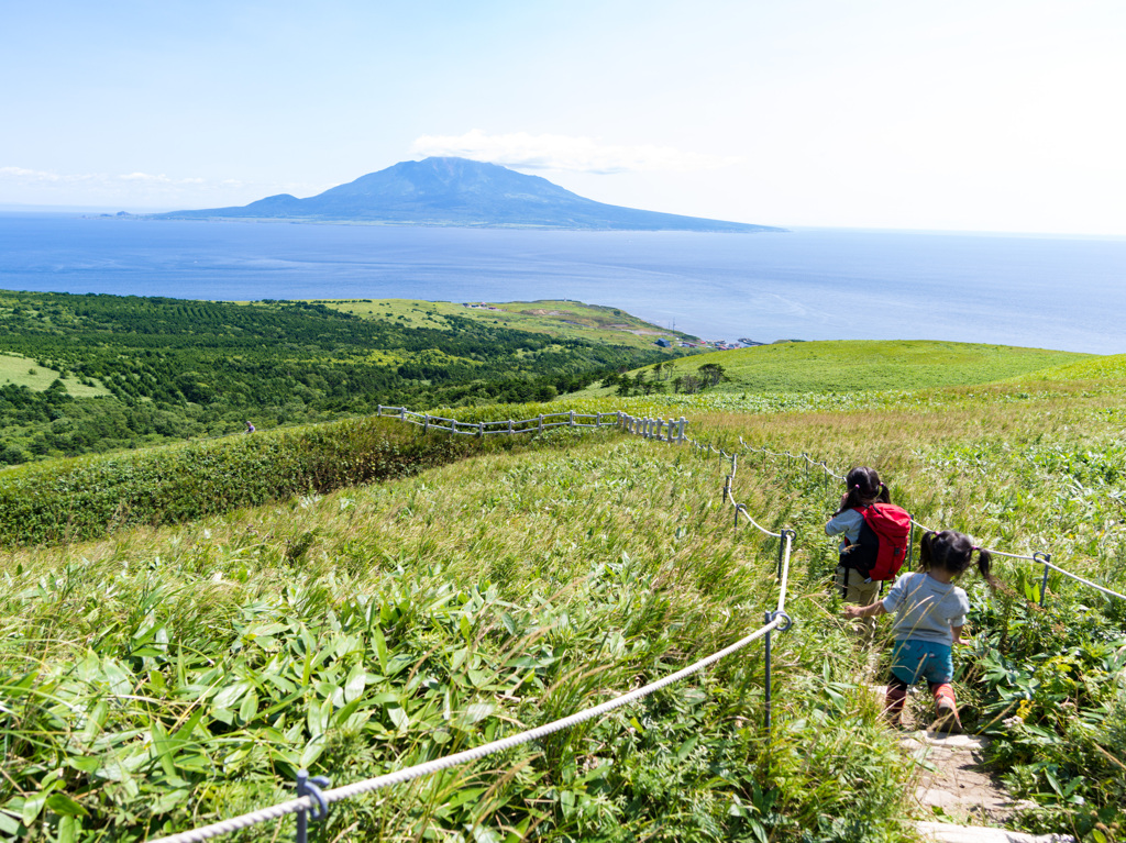 礼文島の花畑を行く