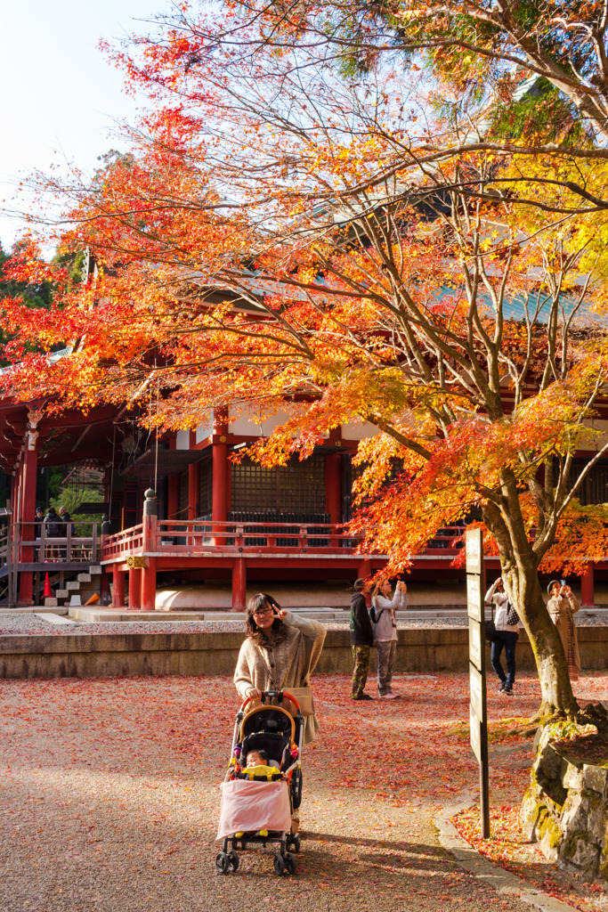 紅葉の比叡山延暦寺