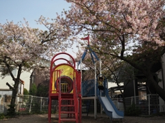 桜の公園