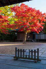 非公開の庭園