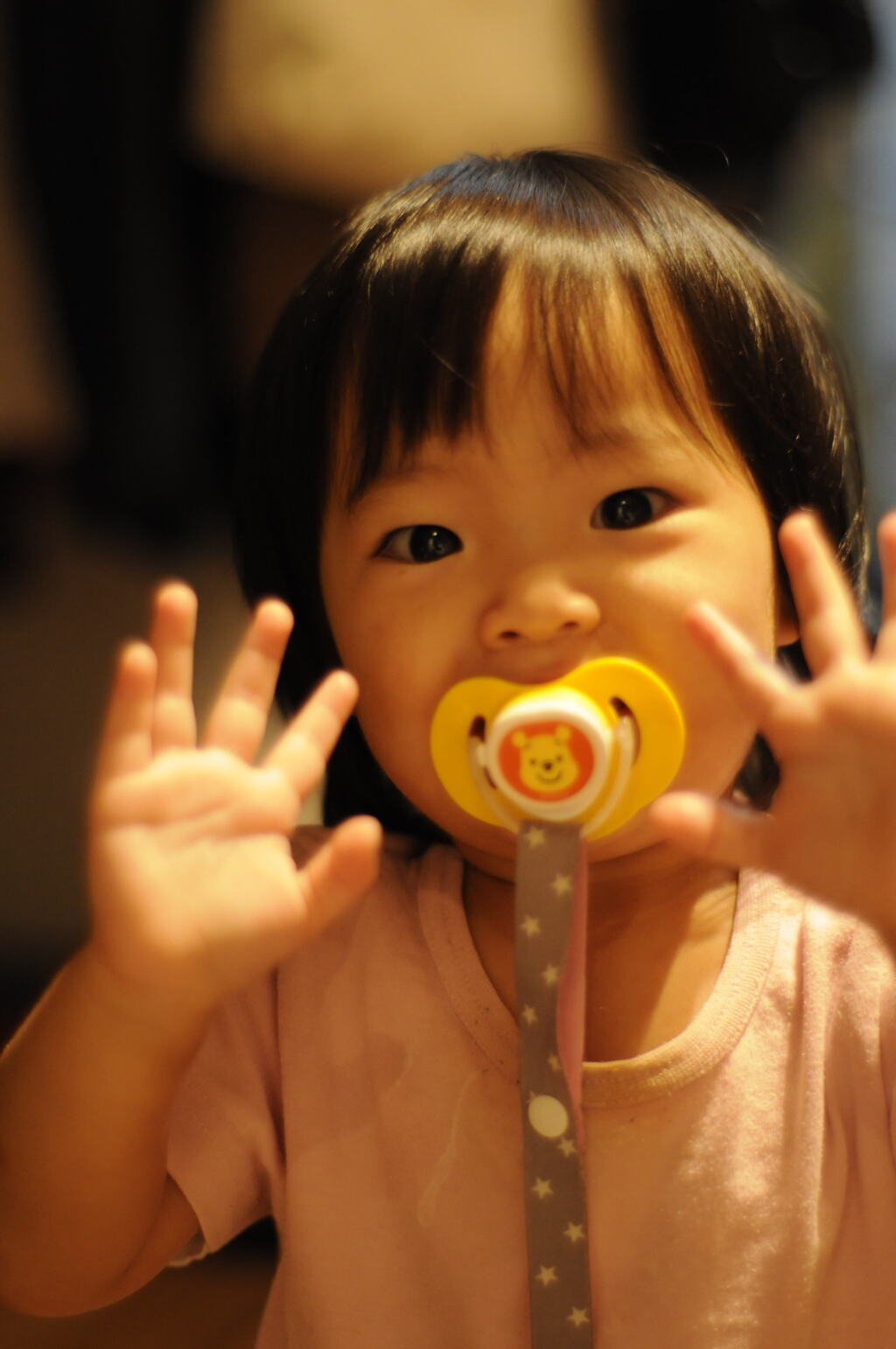 我が家のモデル