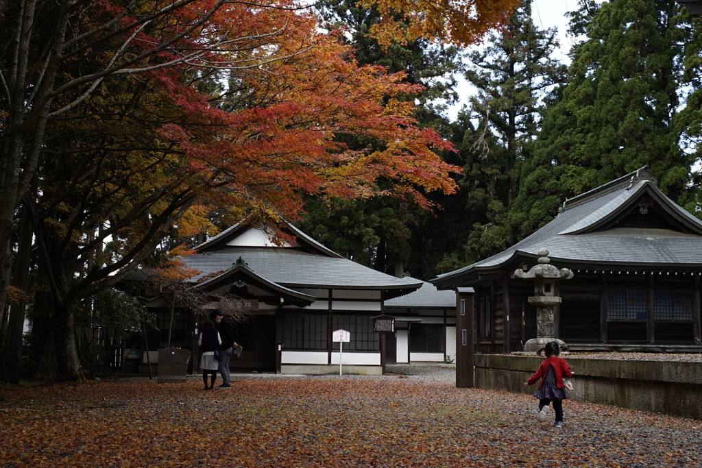 延暦寺の境内で