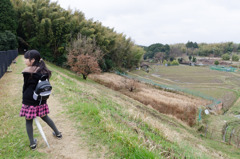 山の辺の道を散歩