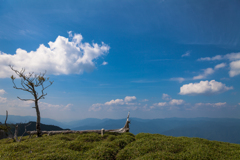 三津河落山から