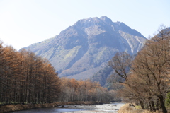 紅葉の焼岳