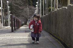 妙見山詣で