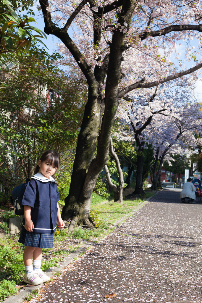 初登園