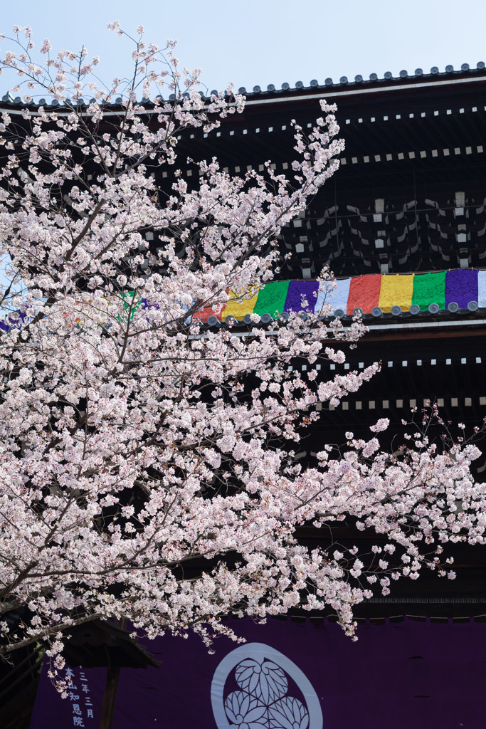 知恩院