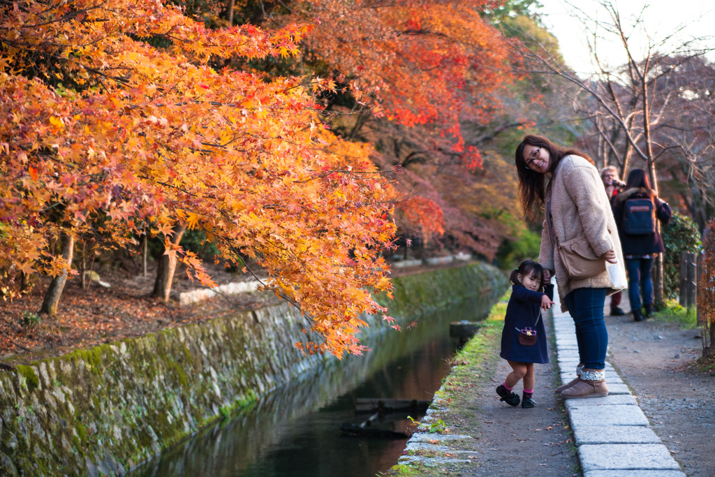 紅葉の哲学の道