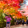 紅葉の高野山で