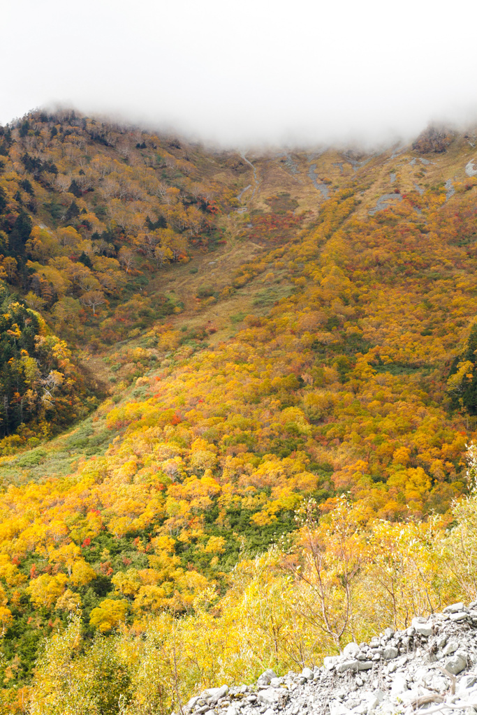 紅葉の穂高岳