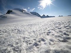 スイスアルプス登山