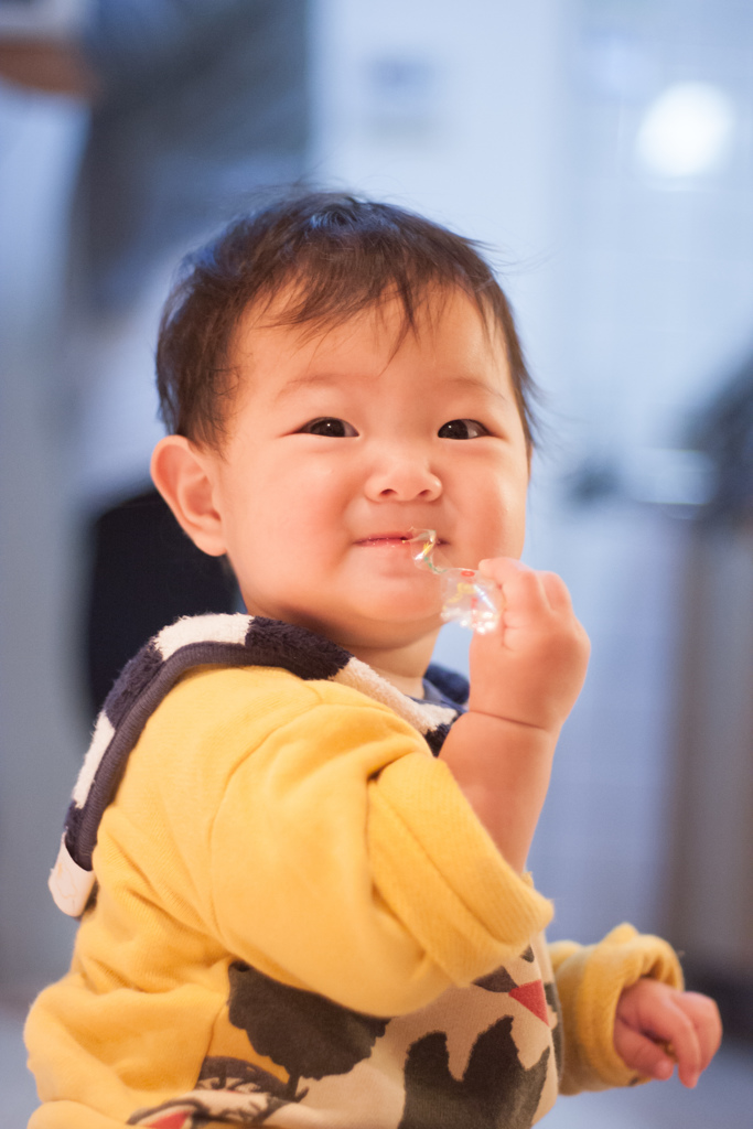 ヤシノンDS 1.7/50