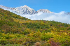 八方尾根の紅葉