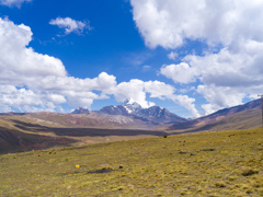 ワイナポトシ6088m