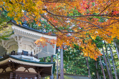 紅葉の高野山