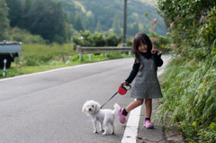 犬と散歩