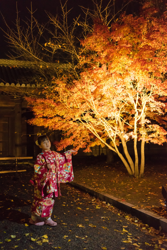 京都、東寺の紅葉を着物で