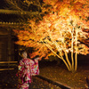 京都、東寺の紅葉を着物で
