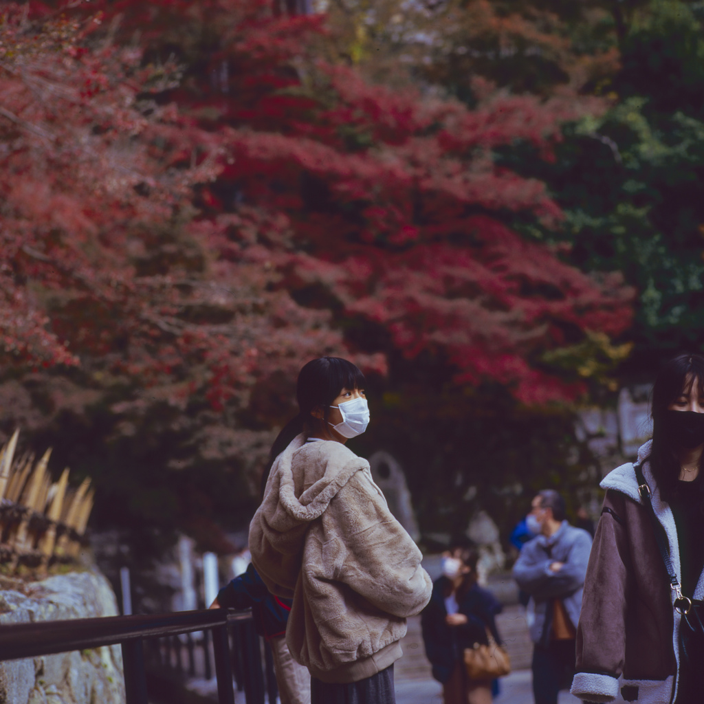 京都の紅葉をフィルムで