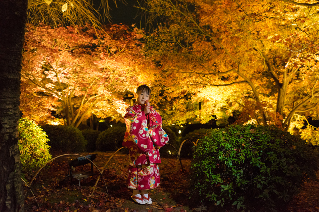 京都、東寺ライトアップ