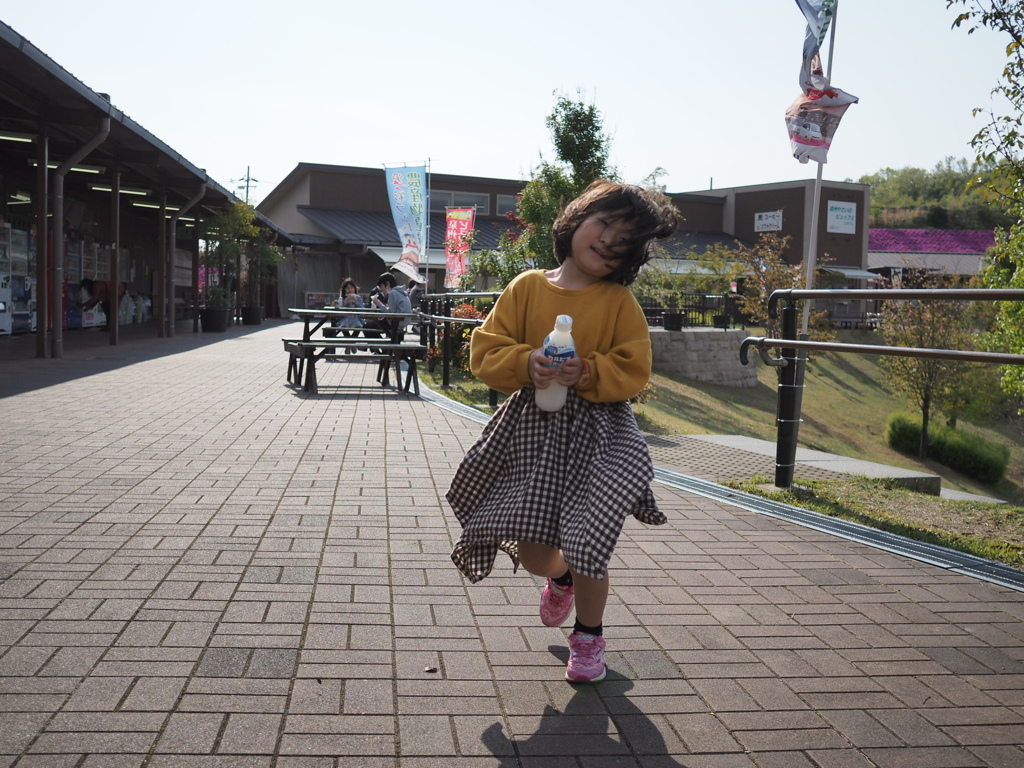 道の駅