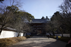 醍醐寺