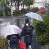 Yashinon DX 45mm f1.7