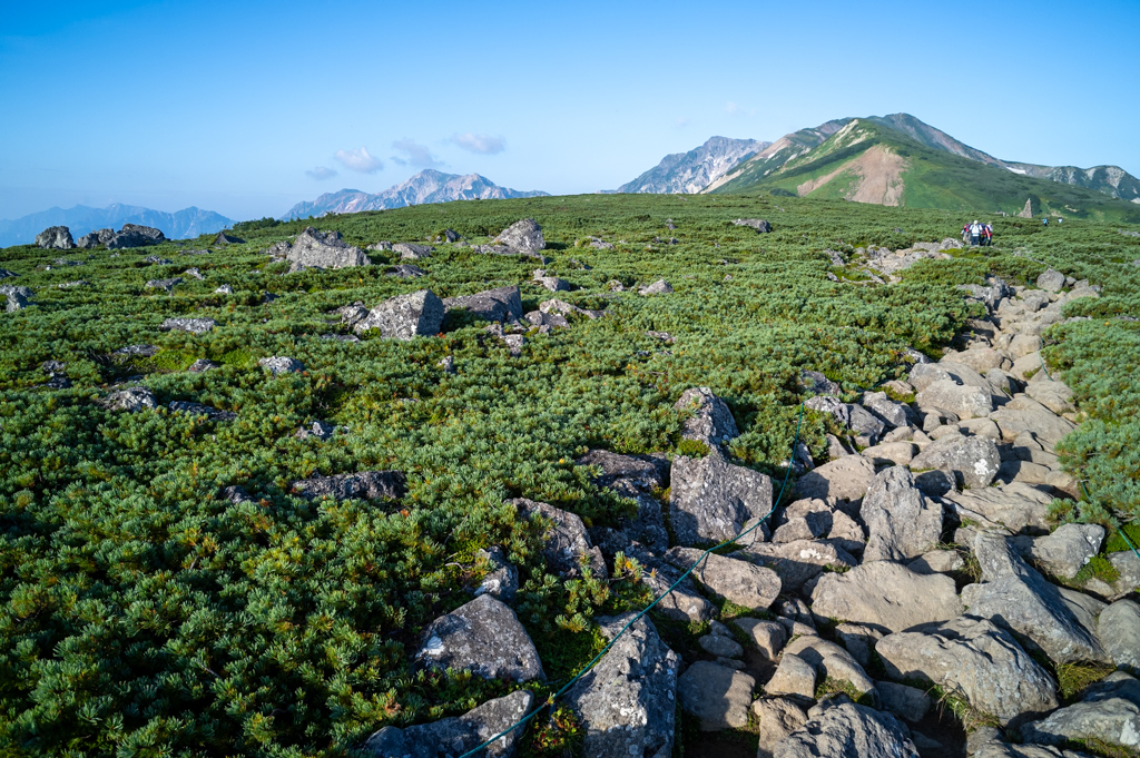 白馬乗鞍岳から後立山連峰