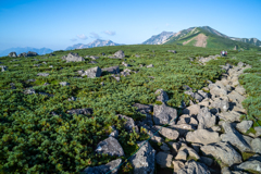 白馬乗鞍岳から後立山連峰