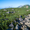 白馬乗鞍岳から後立山連峰