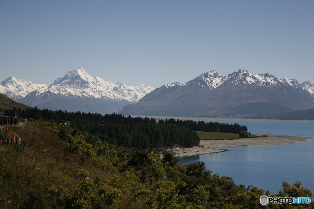 ニュージーランド、プカキ湖とマウントクック