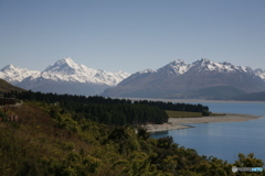 ニュージーランド、プカキ湖とマウントクック