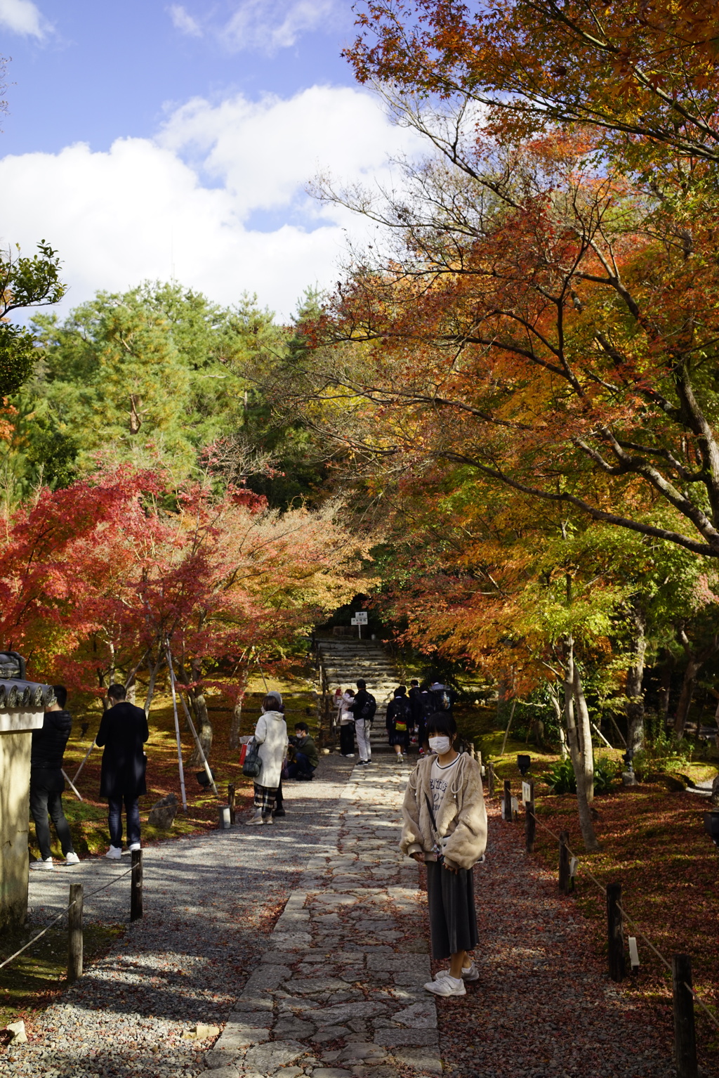 高台寺の紅葉