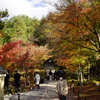 高台寺の紅葉